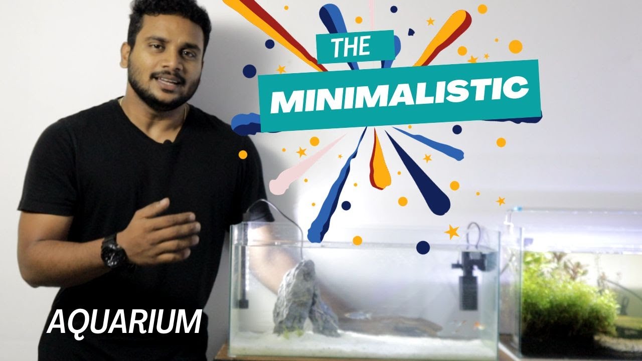 Photo inspiration: Gallery Detail: Minimalistic Aquarium For Beginners Low Cost Aquarium