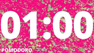 1 Minute Timer - Study - Work - Deep Focus - Countdown Timer - No Music