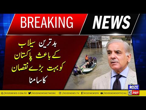 Due to the worst floods, Pakistan has faced huge losses Prime Minister shahbaz sharif