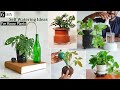 5 diy homemade self watering  auto watering system for your house plantsgreen plants