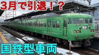 【ダイヤ改正でどうなる！？】"元祖新快速"湖西線の国鉄117系に乗ってきた！