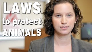 Criminal Laws to Protect Animals? | 30 Second Animal Law