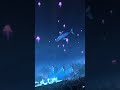 Phish - A Life Beyond The Dream - 05/02/26 - Sphere, Las Vegas, NV #phish #sphere #lasvegas