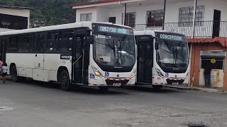movimiento de buses 2023 alajuelita Concepción arriba-abajo