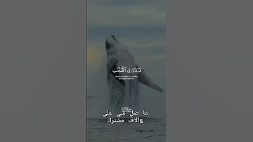 سورة الانبياء #القرآن_الكريم #quran #تلاه_خاشعة #راحة_نفسية #اكسبلور #اجمل_تلاوة_مهدئة_للاعصاب