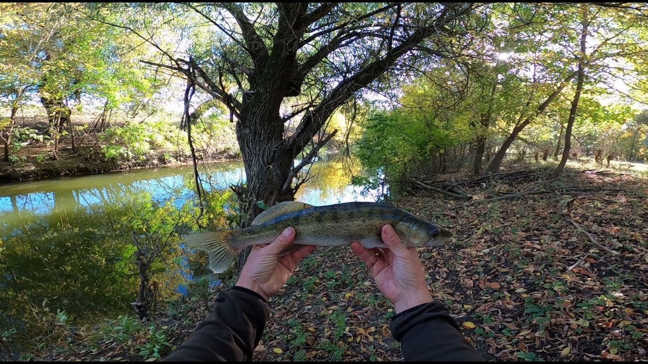 NAGYSZERŰ SŰLLŐ A ZAGYVÁBÓL - Pergetés a Zagyván.