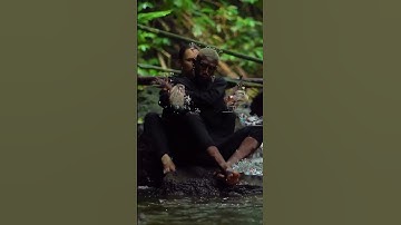 Made with Datamosh