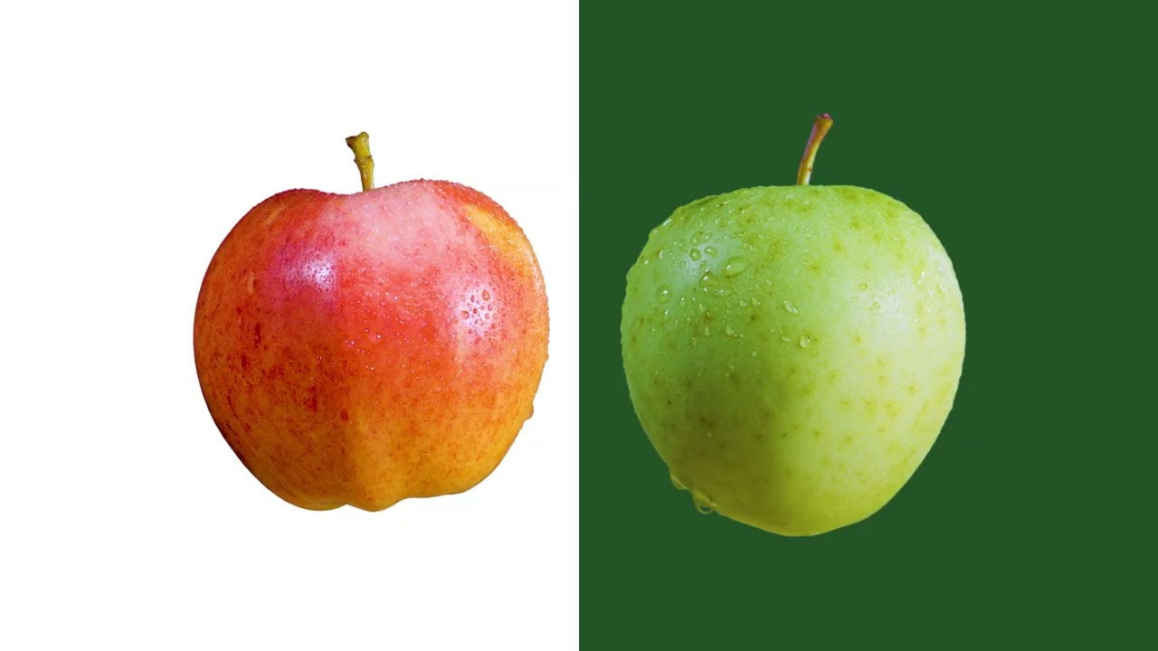 BASE-MINT Marketing + Creative