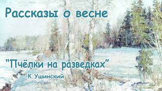Рассказы о весне - К.Ушинский "Пчёлки на разведках" - Слушать Рассказы о весне - К.Ушинский "Пчёлки на разведках" - Слушать