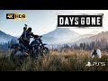 DAYS GONE REMASTERED - Gameplay Parte 11 | PS5 Dublado 4K