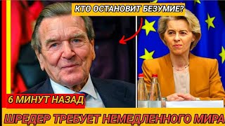 Шрёдер своими словами вызвал шок, протесты и политический кризис в Берлине.