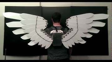 Bionic Concepts Angel Wings V1.1  Layer 2 Test Video