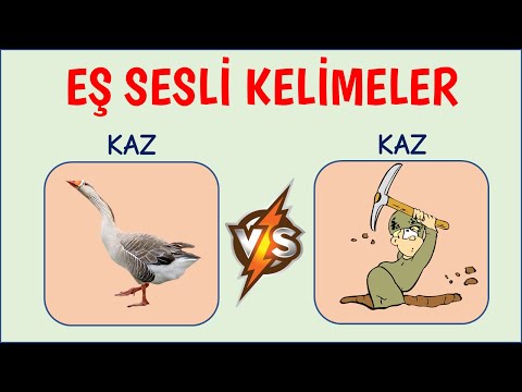 Eş sesli kelimeler - Sesteş Kelimeler