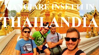 Mangiare INSETTI FRITTI in Thailandia - Travel Vlog