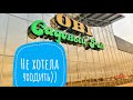 Комнатные цветы. Обзор магазина OBI. Уценка, цены на комнатные цветы в  OBI г. Краснодар.