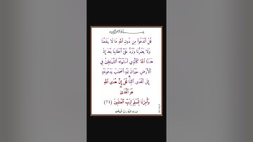 سورة الانعام - سورة 06 - اية 71