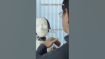 Machine Learning Facts You Probably Don