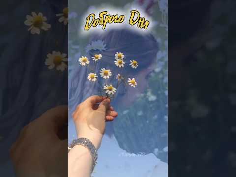 Доброе утро! музыкальная открытка ( 5 июня) #shorts #