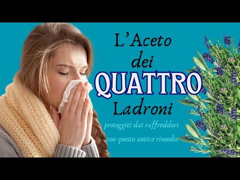 Vinegar Of The 4 Thieves Discover The Secret Of The Thieves Who Survived The Plague