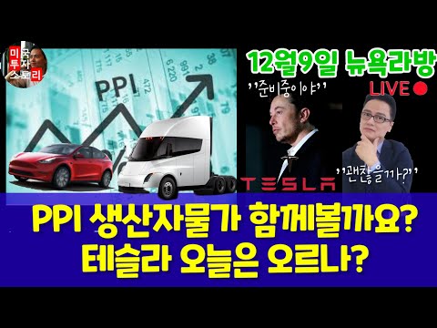 미국주식시장전망/PPI 인덱스 생산자물가지수/테슬라 CEO? 상하이 공매도 일론 머스크 루시드 리비안 평가/리오토 실적미스/반도체 엔비디아 Tsmc 브로드컴/구글애플아마존페북마소등