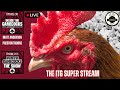 Gamecocks Live: Looking At The Defensive Line and Transfer Portal News