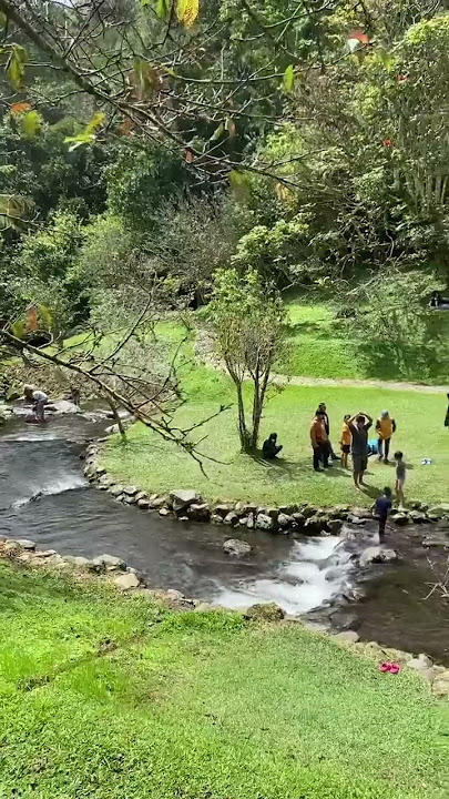 CIBOGO WATERFALL RIVER FLOW, CIBODAS BOTANICAL GARDENS #waterfall #waterfall #cibodas #cibodasbot...
