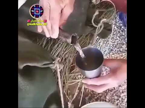 کونه آب مشک لکستان قوم لک زبان لکی