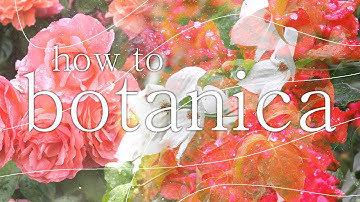 How to Botanica (like novel, linked winters, paloris)