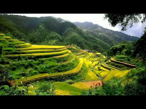 FETTY - Pinang Sabatang (Lagu Minang)