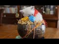 Funny &amp; Cute Cat Moments 😹🐱  1 Minute Viral Cat Video 
