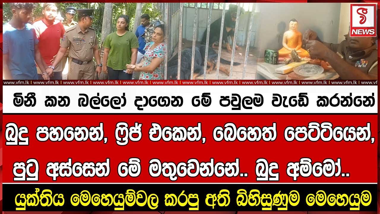 මිනී කන බල්ලෝ දාගෙන මේ පවුලම වැඩේ කරන්නේ
