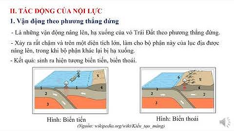 Bài 8_Khối 10_Tác động của nội lực đến địa hình bề mặt Trái Đất_GV_Lê Thị Trà