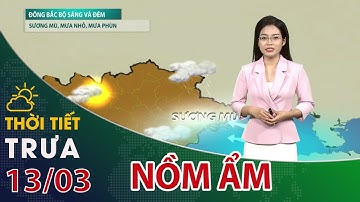 Thời tiết trưa, chiều 13/03/2024: Đông Bắc bộ nhiều mây, nồm ẩm| VTC14