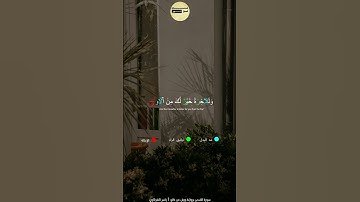 سورة الضحى برواية ورش عن نافع| ياسر الشرقاوي #quran