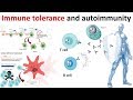 Immune Tolerance and autoimmunity (overview)