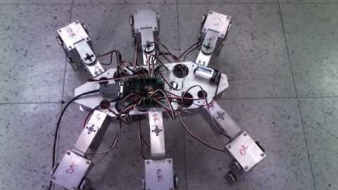 Video Robot Hexapodo V1