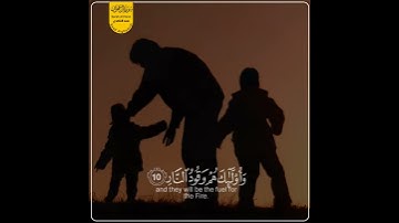 قرآن الكريم بصوت سعد الغامدي حالات واتس اب دينية سورة ال عمران
