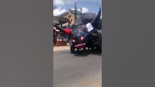 Karnaval dusun pacitan desa ngunut keren abis