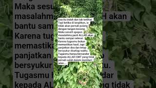 Download Mp3 Motivation #motivation Gudang lagu Download Mp3 Motivation #motivation