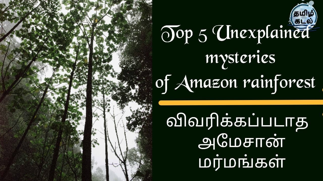 Top 5 Unexplained mysteries of Amazon rainforestவிவரிக்கப்படாத அமேசான்