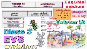 Class 3 EVS worksheet october 16 English and Malayalam medium | std 3 evs worksheet october 16