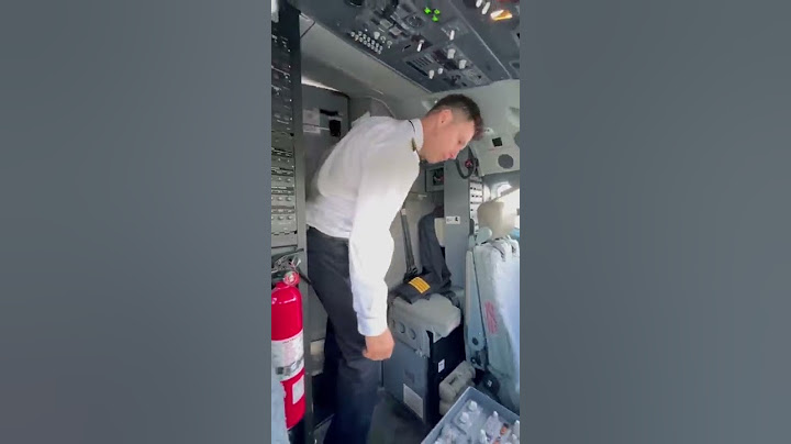 Pilot is getting ready to the flight #Shorts
