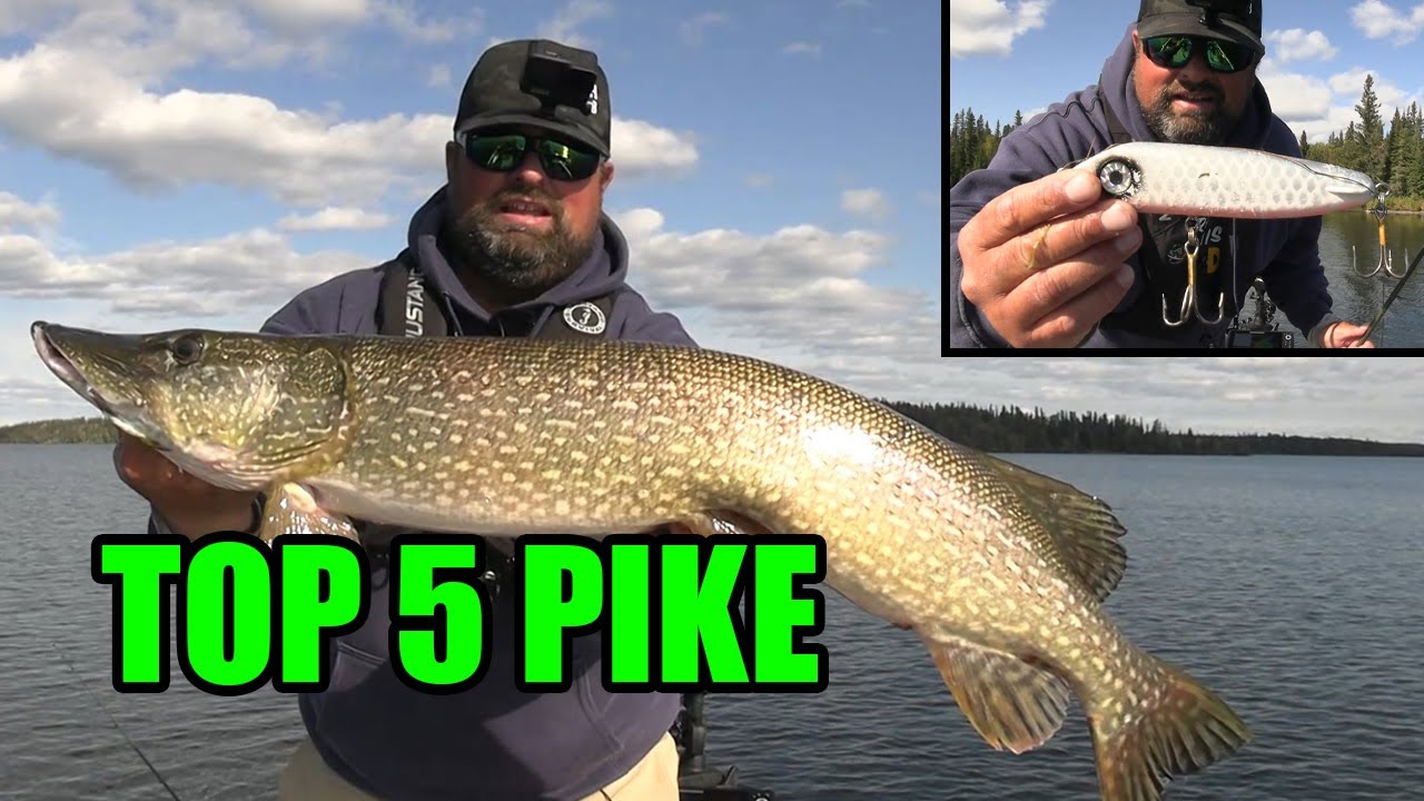 Pike Fishing in Northern Manitoba!! YouTube
