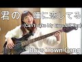 【OKAPY】Can't Take My Eyes Off You(君の瞳に恋してる) / Boys Town Gang【Bass Cover】