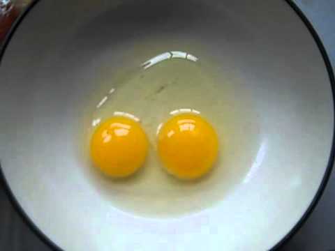 Eggs Two Yolks - YouTube