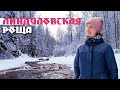 Линдуловская роща зимой | Интересные места Ленинградской области