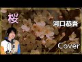 河口恭吾 / 桜 / 囁くようなカバー / フル・歌詞付き