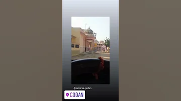 Godan 