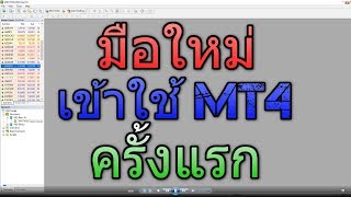 สอนใช้ MT4 บน PC เบื้องต้น - การตั้งค่า MT4 สำหรับเทรด Forex : พื้นฐาน Forex มือใหม่ต้องรู้