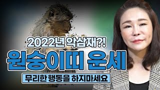 2022년 임인년 원숭이띠 운세 삼재가 강하게 들어오는 한해?! '삼재 피할수 있다?! (30세,42세,54…